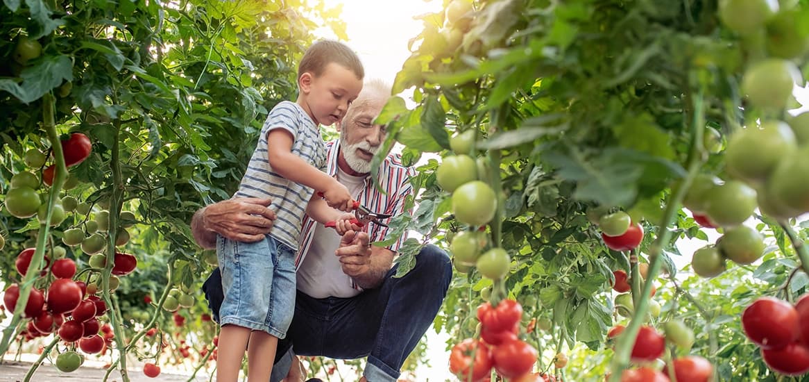 Godrej Retreat Fruit Garden