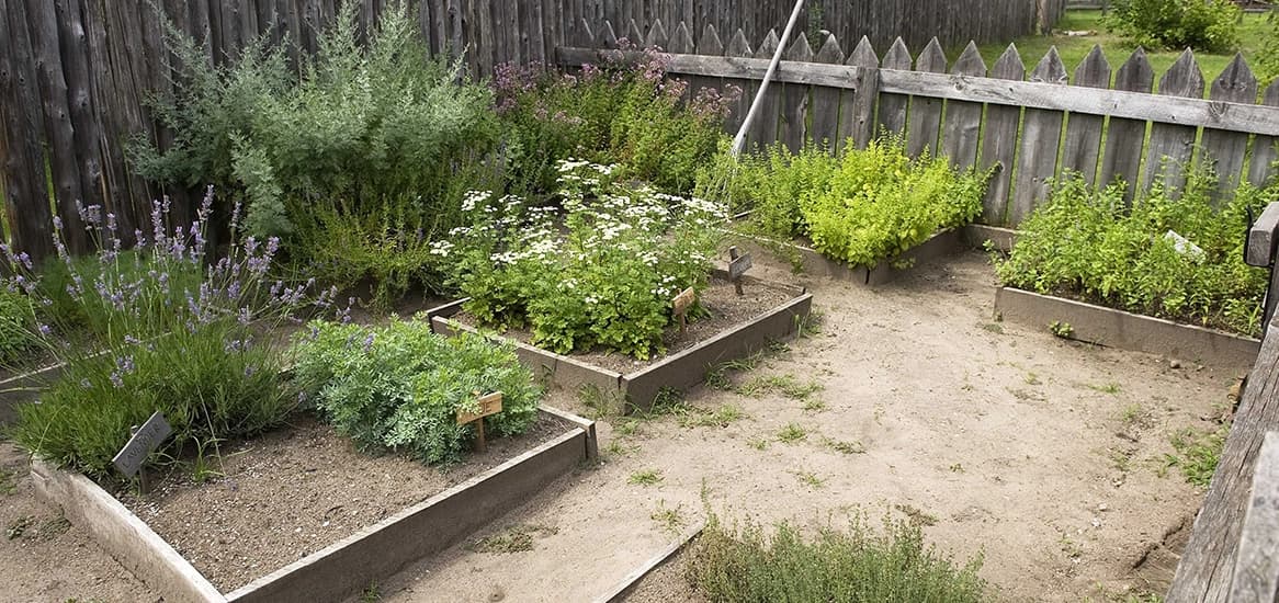 Godrej Meadows Herb Garden