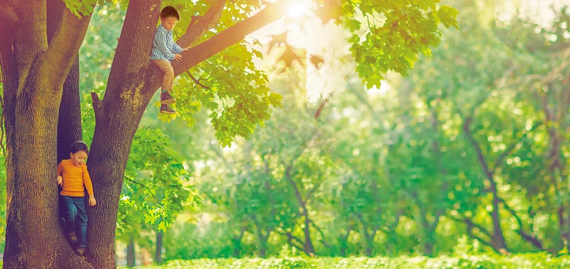 Godrej Riviera Green Park