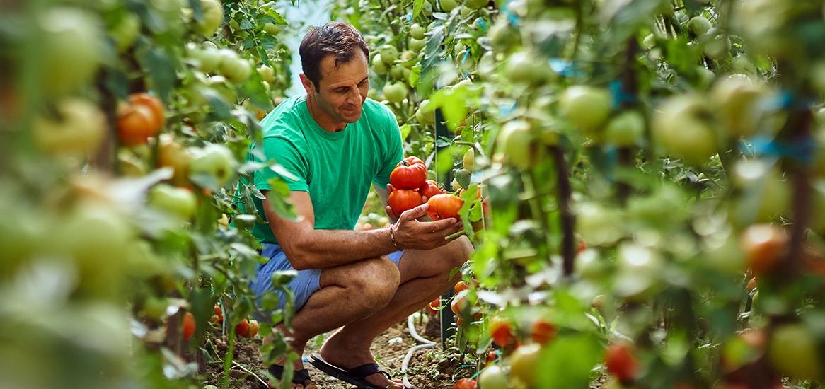 Godrej Urban Park Fruit Orchard and Herbal Organic Garden