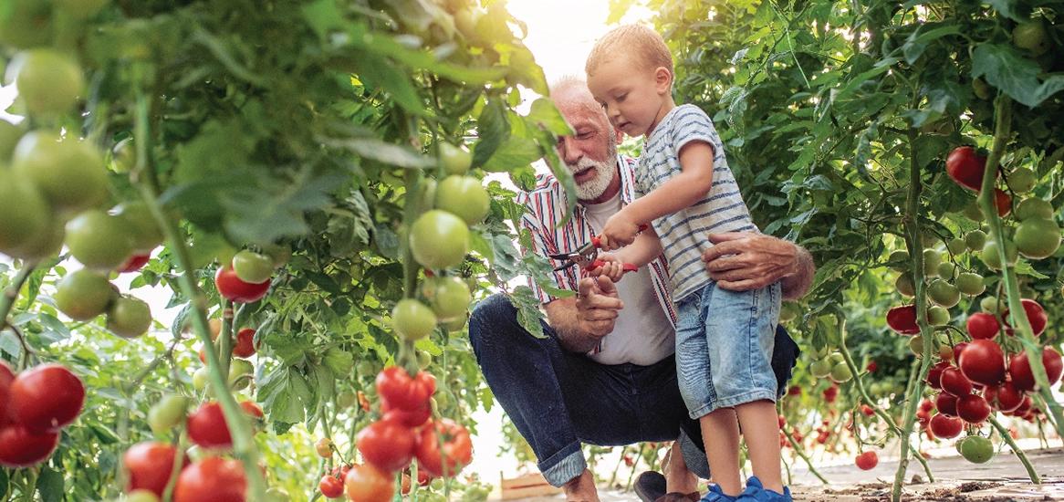 Godrej Emerald Organic Farm