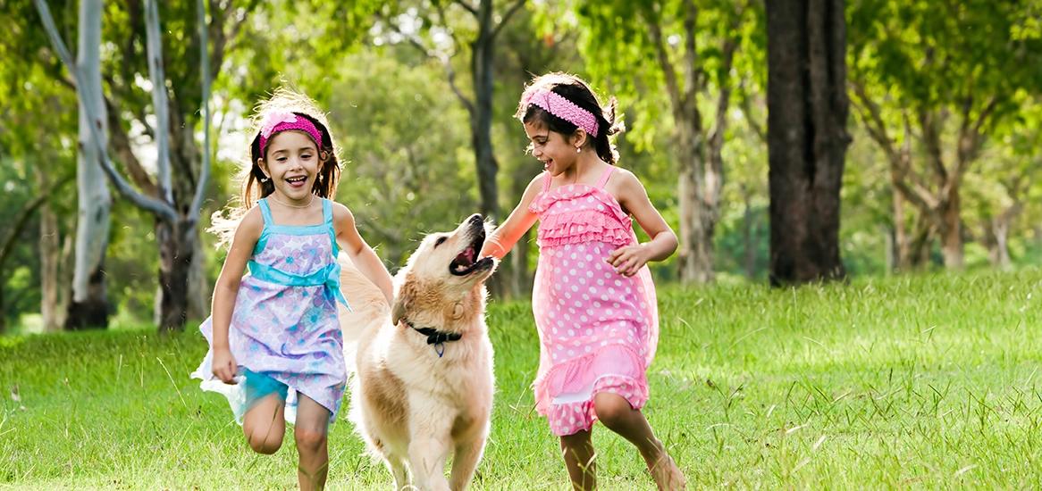 Godrej Athena Pet Park