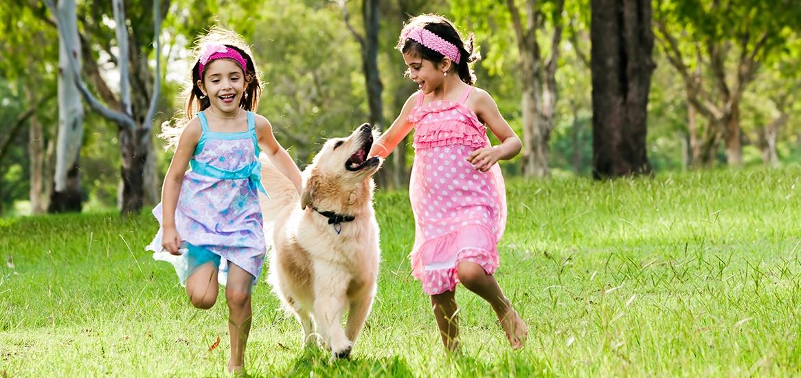 Godrej Splendour Pet Park